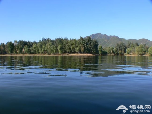 帶著寵物去旅行 懷柔龍湖居享唯美時光