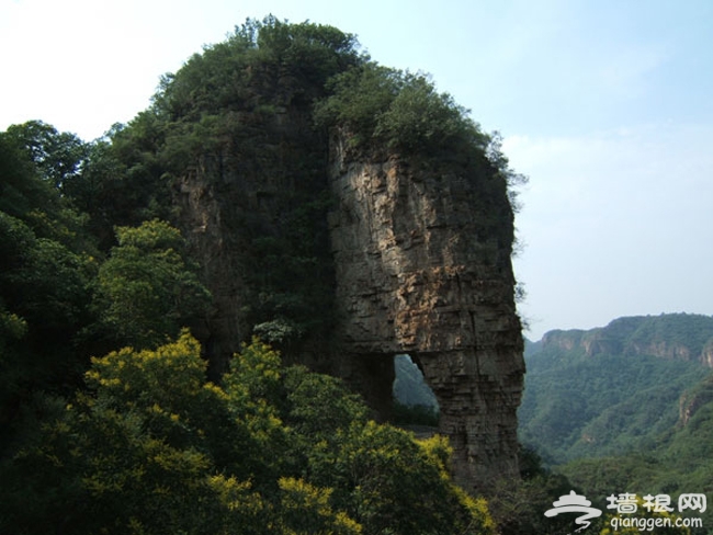 帶著寵物去旅行 平谷樂和仙谷去撒歡