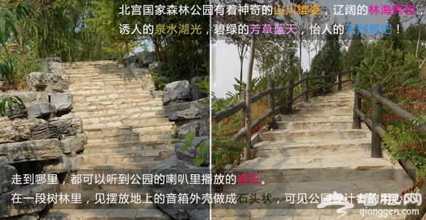 北宮森林公園踏青節游玩攻略  北宮森林公園清明踏青賞花線路推薦  