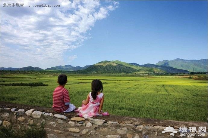 2013北京油菜花觀賞點攻略(房山長溝+密雲+通州)