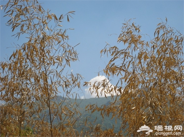 觀景賞花燒烤 京郊5個踏青好去處[牆根網]