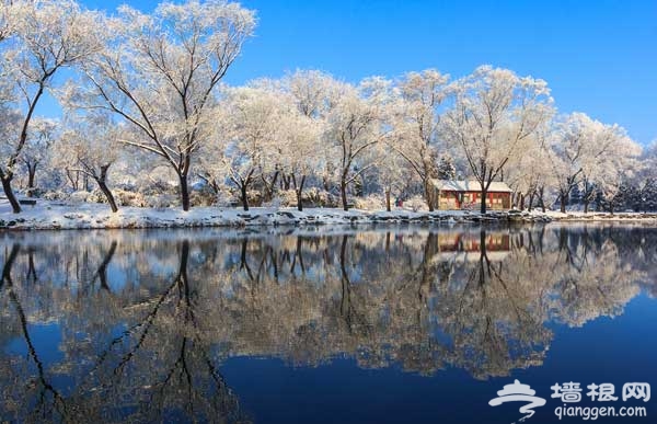 2014年北京雪 京城城區賞雪地推薦