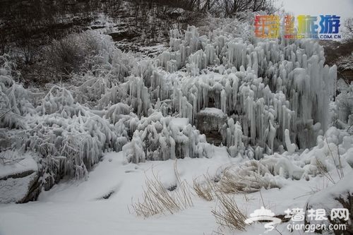 2014年的第一場雪 京城賞雪景十大好去處