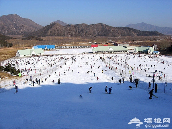 北京周邊十大滑雪地推薦[牆根網]