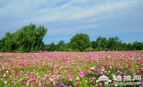 奧林匹克森林公園賞秋一日游[牆根網]