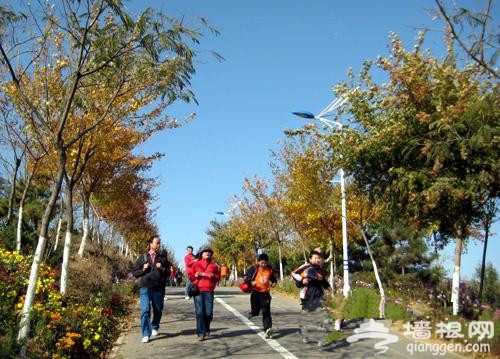 躲避香山人潮 北宮森林公園賞紅葉攻略指南 