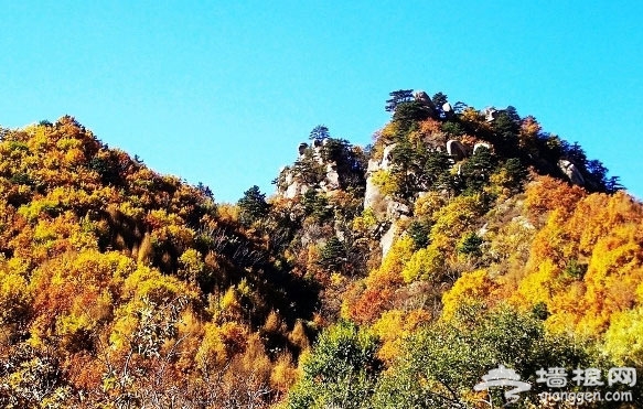 京郊賞紅葉目的地推薦：雲蒙山國家森林公園