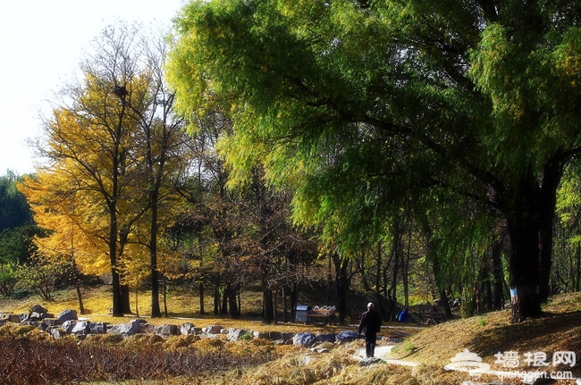 賞燕京八景 白虎澗自然風景區