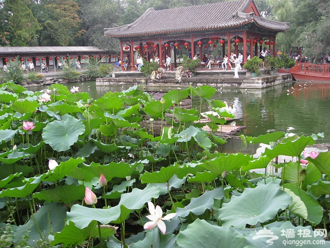 賞燕京八景 白虎澗自然風景區