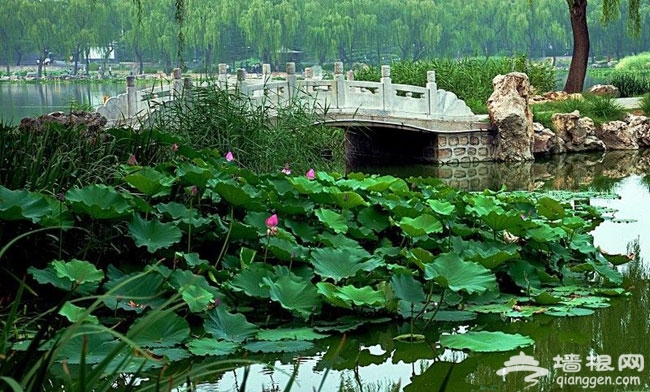 在公園邂逅愛情 北京適合相親的公園大聚集