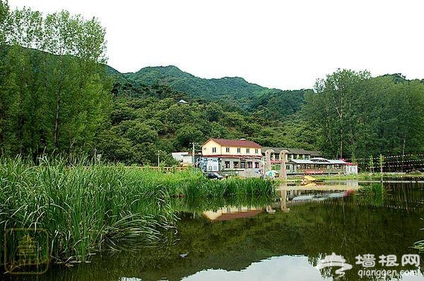 渤海鎮河沿濕地公園游趣多