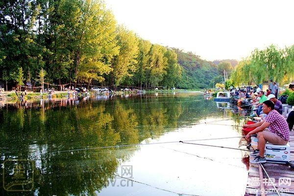 渤海鎮河沿濕地公園游趣多