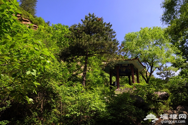 延慶松山 借著北京的藍天暢爽呼吸