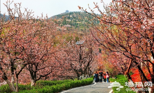 園博周邊景區攻略 北宮國家森林公園