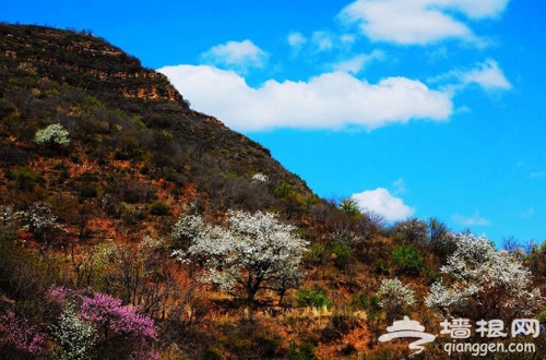 走進桃花 走出美麗 平谷十大登山徒步路線推薦