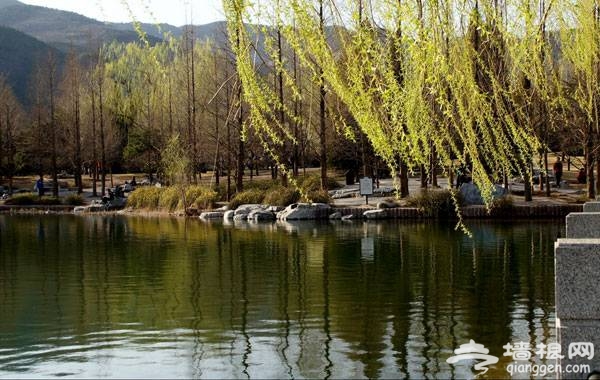 2013年香山公園第十一屆山花節活動