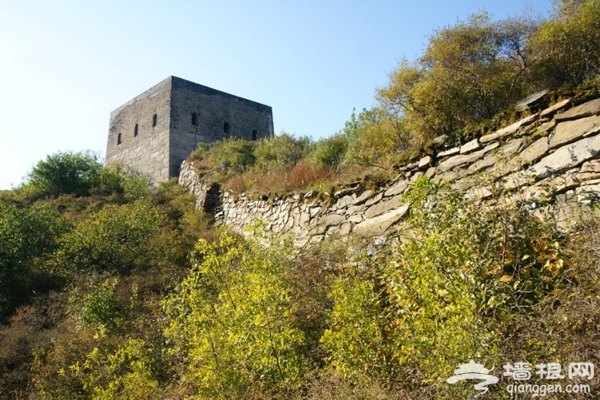 2013北京生態游 植樹節還我藍天播下希望的種子