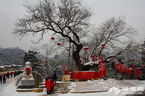 2013春節逛京城過大年 新春祈福好去處推薦