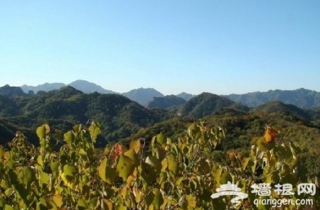 重陽節秋高雲遠 京郊熱門登高地推薦[牆根網]