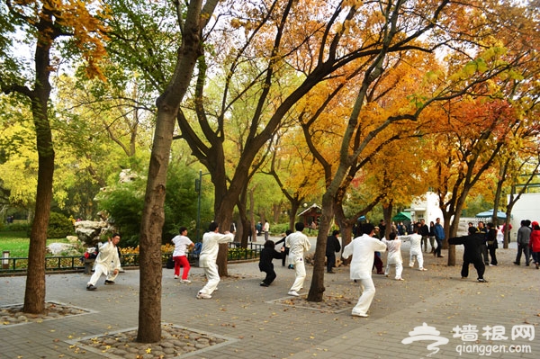 家門口的美麗秋色 紫竹院公園賞秋游