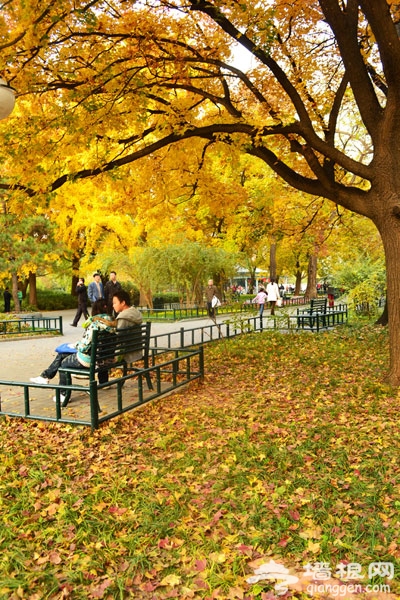 家門口的美麗秋色 紫竹院公園賞秋游