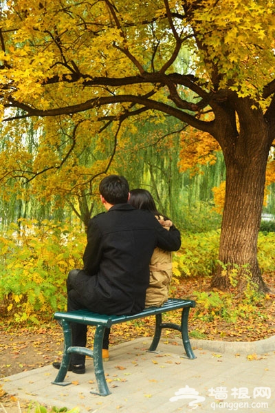 家門口的美麗秋色 紫竹院公園賞秋游