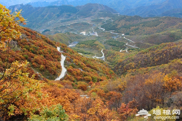 10月出游好去處 8大目的地感受北京金秋美景