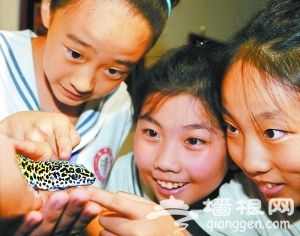 在動物園與小動物“親密接觸”。