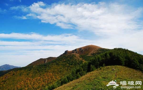 三伏天避暑游：京郊靈山的清涼誘惑