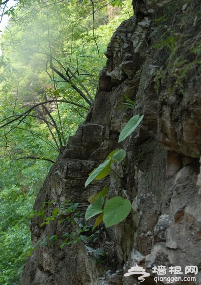 山頭上的風景 京郊踏青登山游11大好去處(圖)