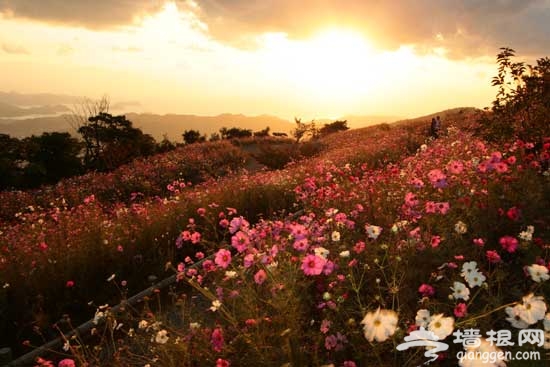 延慶春日好風光 踏青郊游5大目的地推薦(圖)