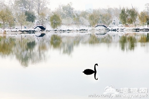 圓明園初雪(圖片：)