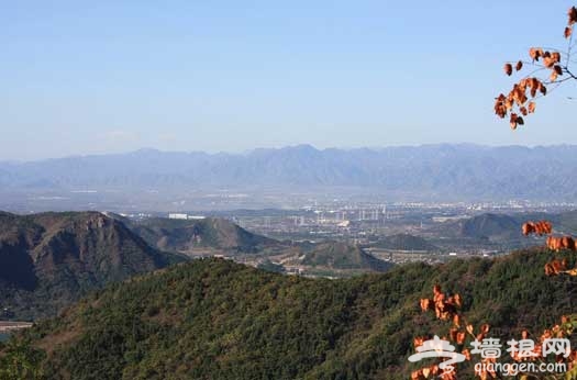 京郊10月絢爛紅葉 靜賞秋景五大寶地(圖)