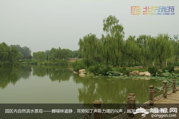 稻香湖濕地公園 許你一個寧靜夏日(圖)