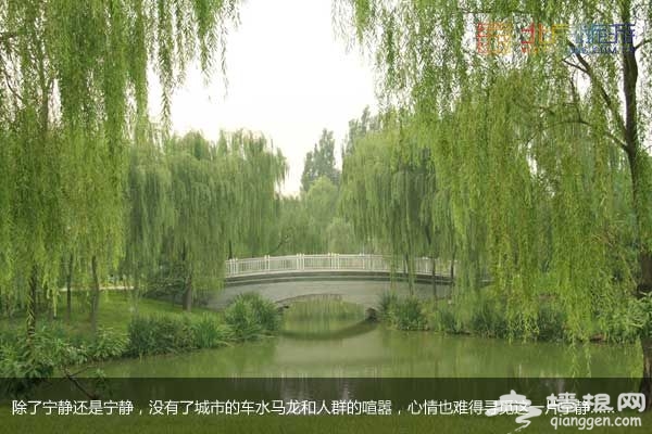 稻香湖濕地公園 許你一個寧靜夏日(圖)