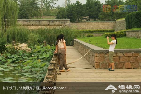 稻香湖濕地公園 許你一個寧靜夏日(圖)