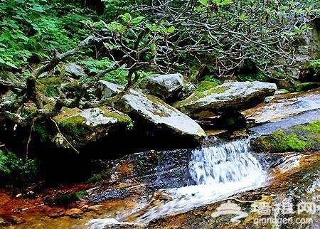 觸目皆風景 白河大峽谷納涼攻略