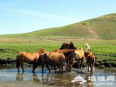 稻香湖公園 不出京城欣賞“白洋澱”美景