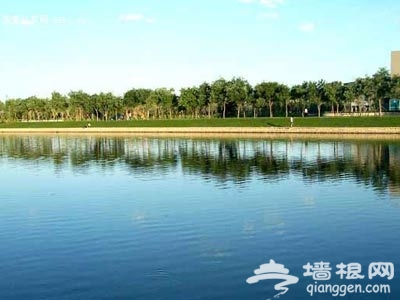 稻香湖公園 不出京城欣賞“白洋澱”美景