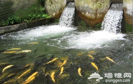 莊戶：躺在搖椅上看長城 大山環抱中的小山村[牆根網]