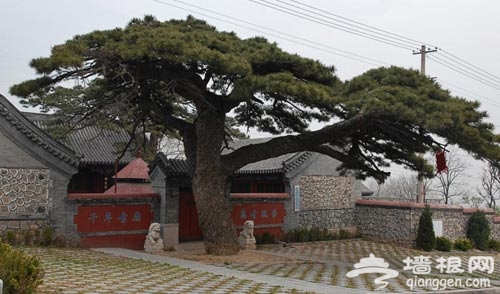 端午出行：鳳凰嶺上賞景 品鮮 住小院