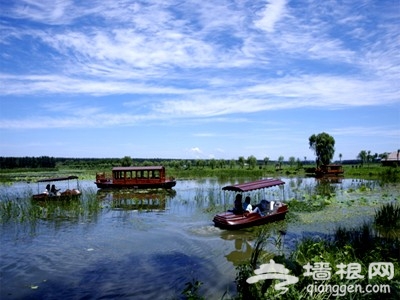 端午出行 暢游北京特色濕地公園