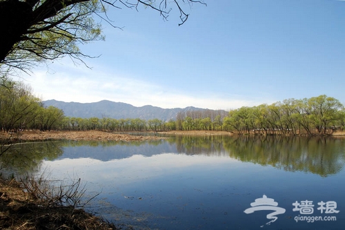 翠湖濕地美景 圖片來源：四十不立（搜狐博客）