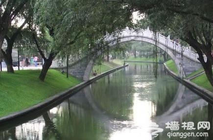 提籠架鳥貓狗斗 京城花鳥蟲魚市場轉一遭[牆根網]