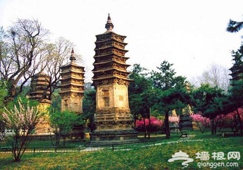 清明自駕潭柘寺 踏青祈福追思故人[牆根網]