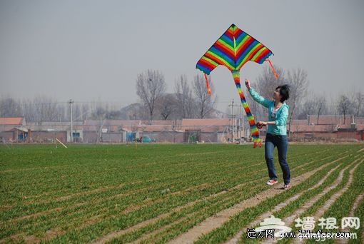 歡快的跑起來 攝影：王咩咩