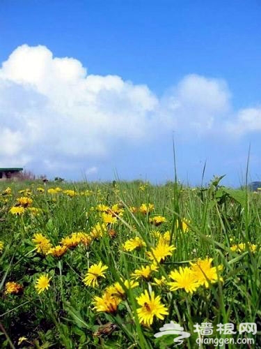 清明小長假 京郊登山踏青春來早