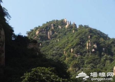 京郊尋春覓綠 森林公園裡綠地是享受[牆根網]