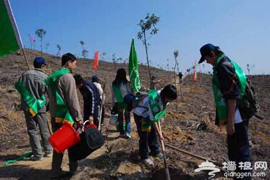 植樹踏青兩不誤 幽谷神壇全體驗[牆根網]