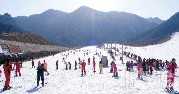 雪地裡撒會兒野京郊雪場家門口過瘾[牆根網]